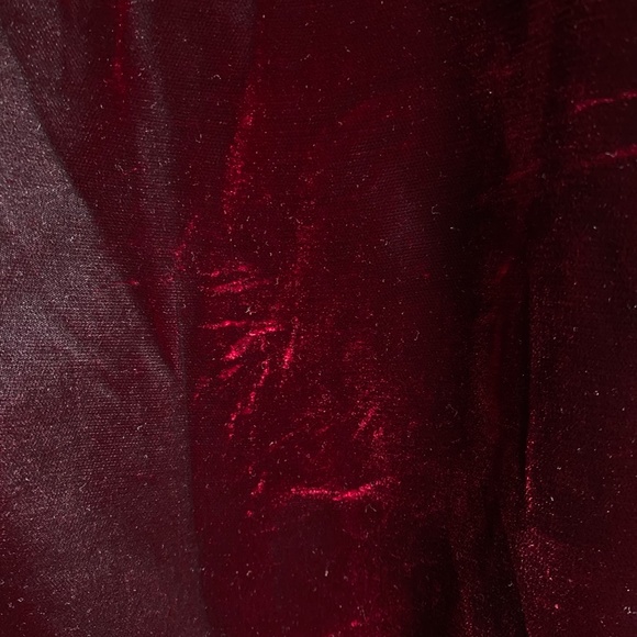 Linda Allard for Ellen Tracy Red Velvet Gown - Picture 5 of 10